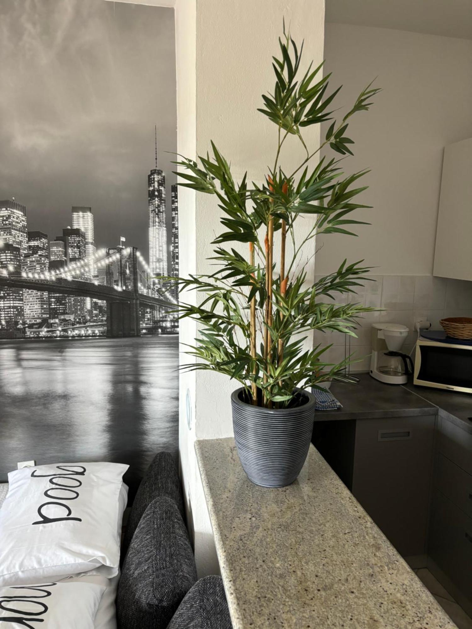 Apartment Jasna B Omišalj Εξωτερικό φωτογραφία